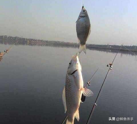 串钩钓鱼必备技巧,串钩钓鱼挂饵方法