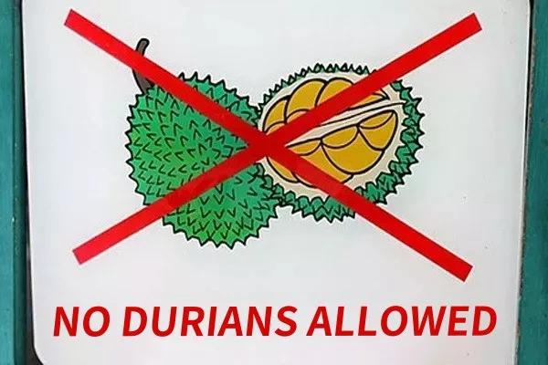 泰国酒店为什么不让带榴莲,为什么泰国酒店不让带榴莲