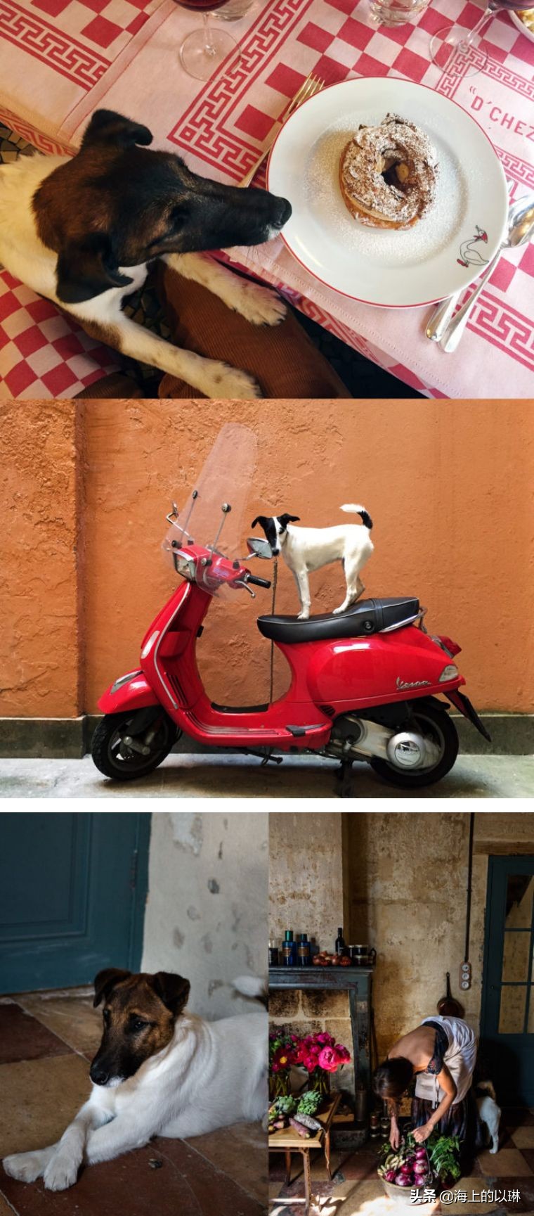 这位43岁的中法混血美女，把乡间的时光过成诗意的时尚生活