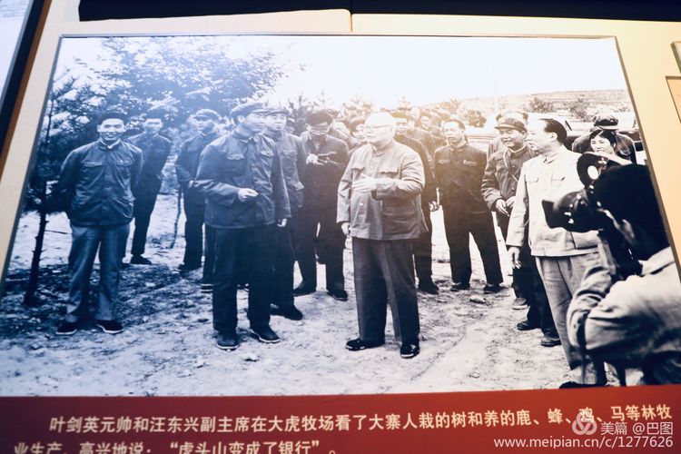 灞辫タ鐨勫ぇ瀵ㄦ様鏃ョ殑姒滄牱,灞辫タ澶у鏉戞浘缁忔湁鍝簺杈夌厡鎴愬氨