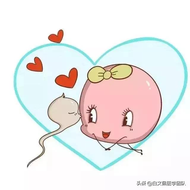 治疗输卵管性不孕重点在“通”