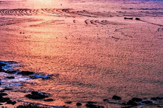 突然就想去旅游了,忽然间就想去厦门了