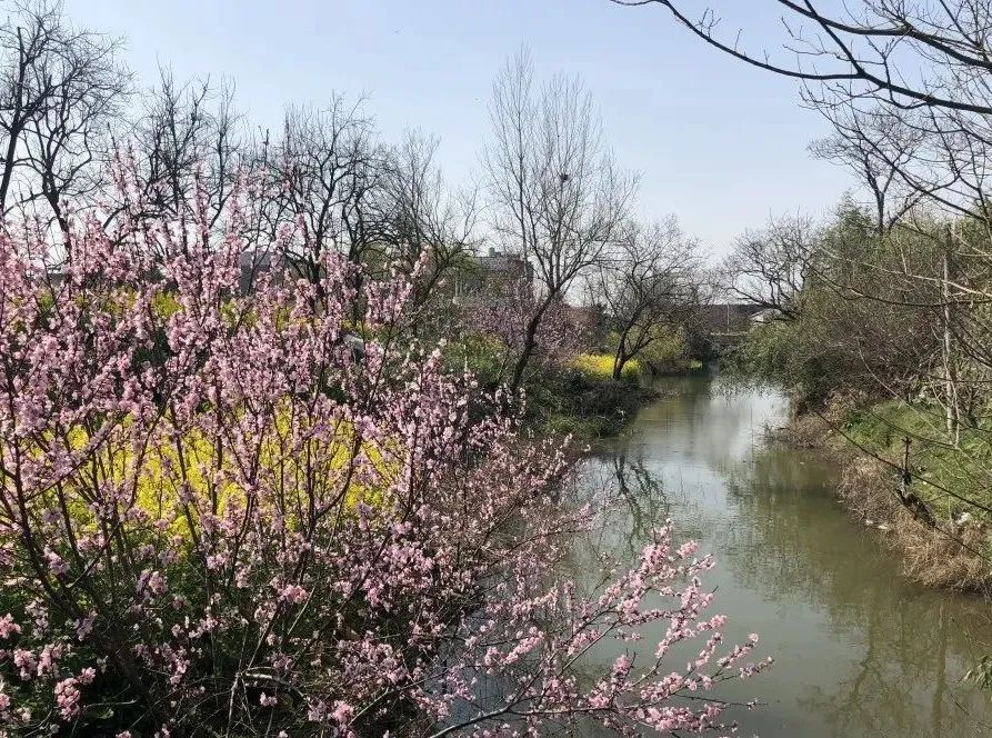 刘桥老街在哪里,郑州刘桥老街