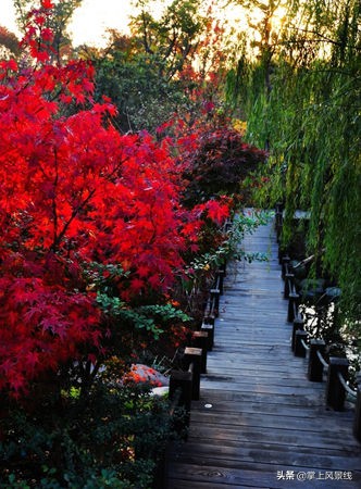 无锡自驾一日游免费景点,无锡免费爬山攻略一日游最佳路线