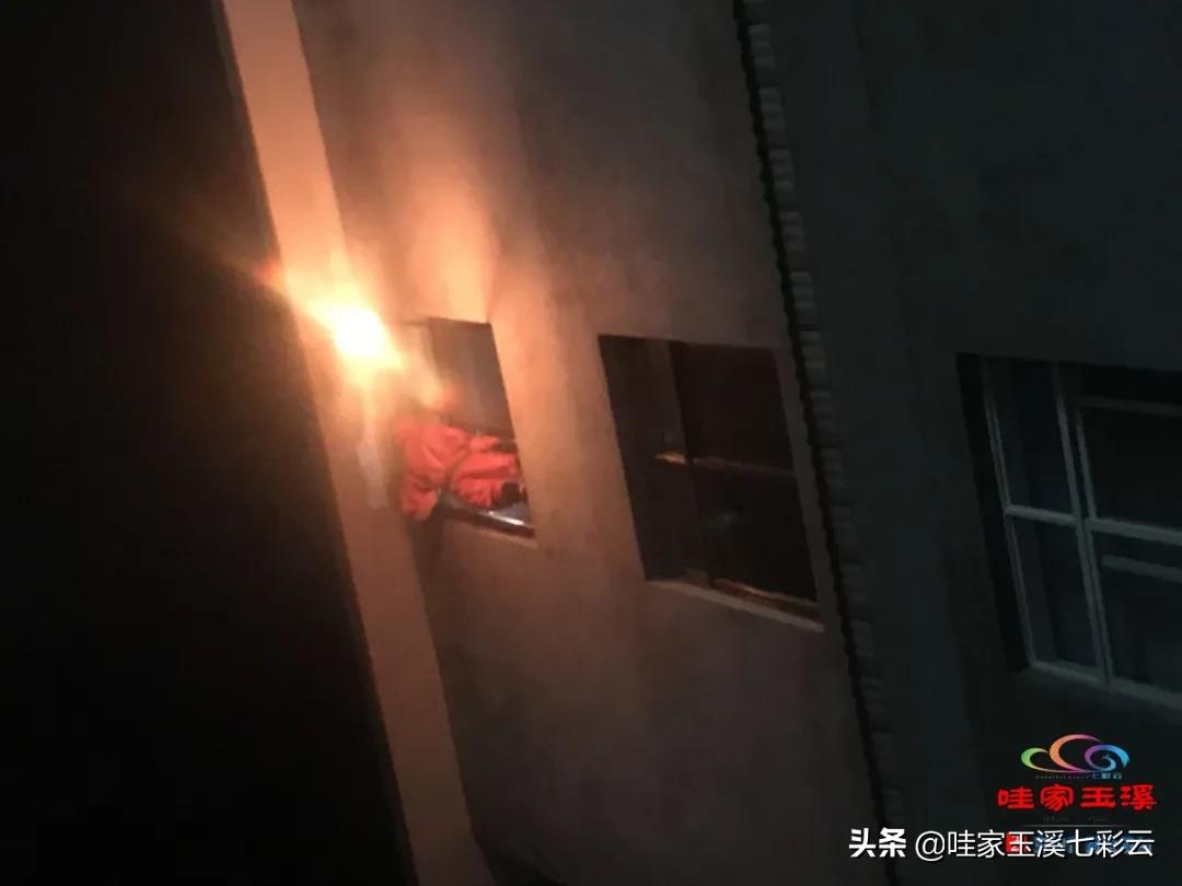 树洞惊现马蜂窝消防员火攻摘除,马蜂窝扰民消防处置