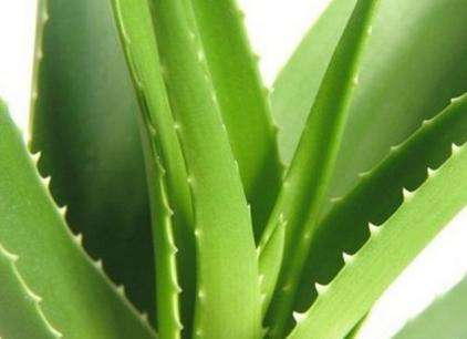 还在为痘痘痘印困扰吗,祛痘印的方法激光祛痘