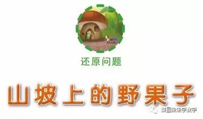 菜园种菜数学问题,菜地种菜数学问题