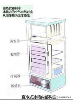 家里有两个冰箱怎么摆放比较合适,家里冰箱怎么选