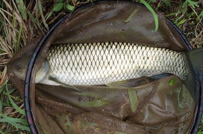 天气一热鱼不开口,天气一冷一热鱼爱咬钩吗