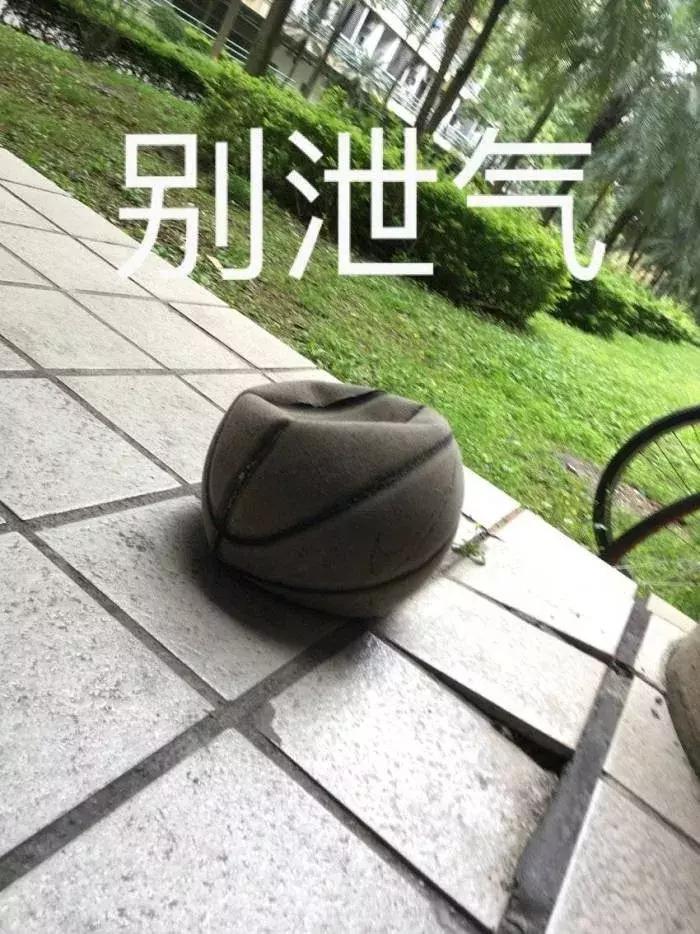 野模碰瓷圈内最大关系户,母凭子贵变身女一号