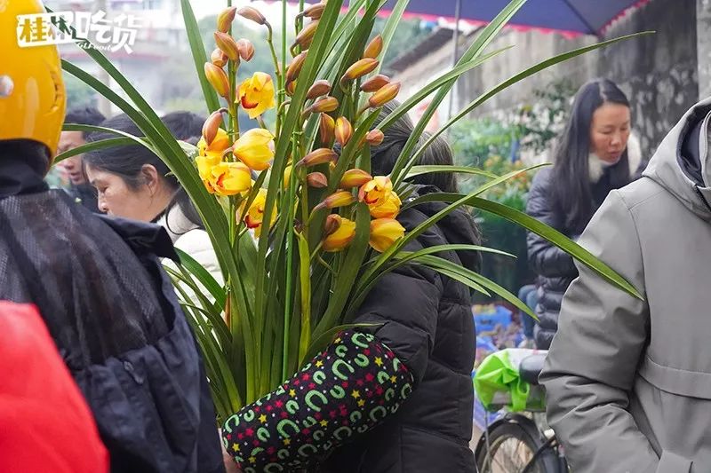 桂林市春节年货一条街,桂林有哪些年货市场