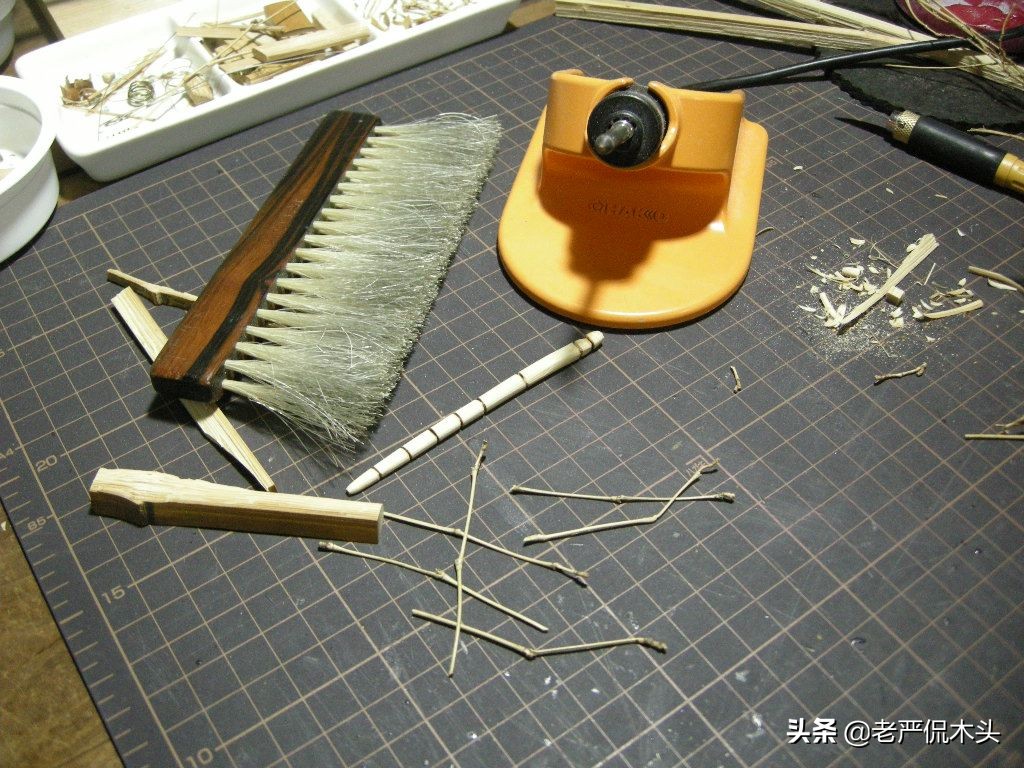 昆虫标本树脂竹节虫,昆虫标本制作竹节虫