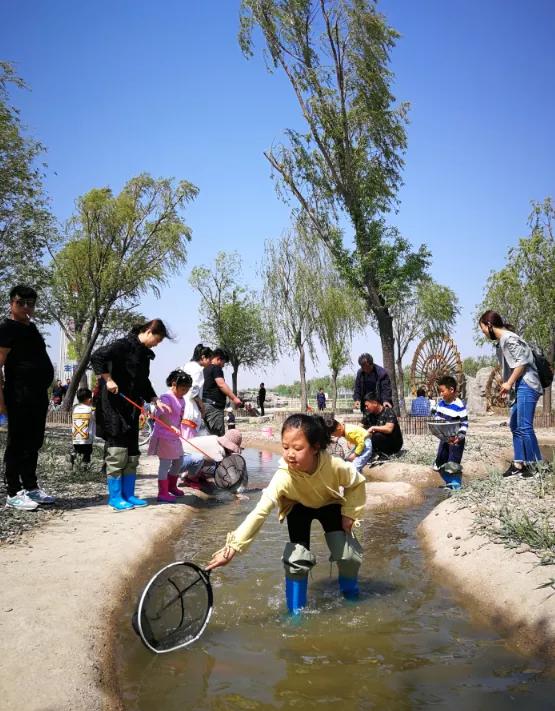 你是否见过鱼儿逆流而上？这里的“渔文化”妙趣横生