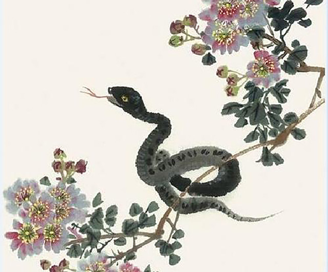 蛇为什么要三年后才报仇,蛇真的会报仇吗