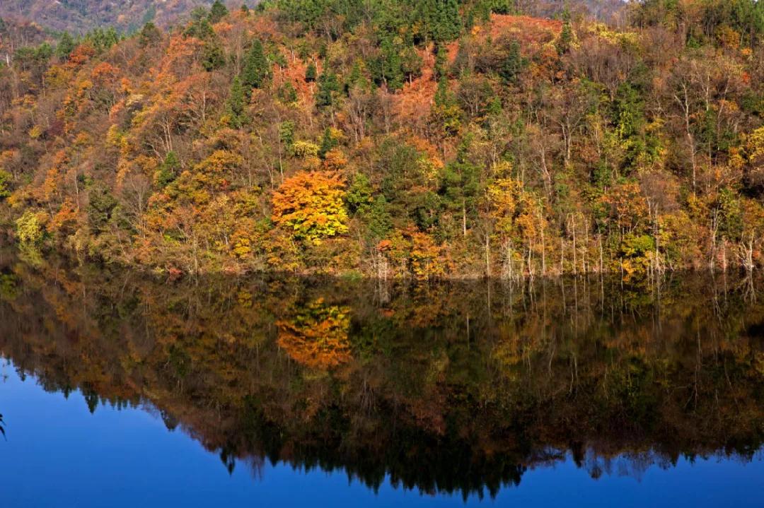 藏着最美秋景，石柱原始森林中的这块“明镜”美绝了！