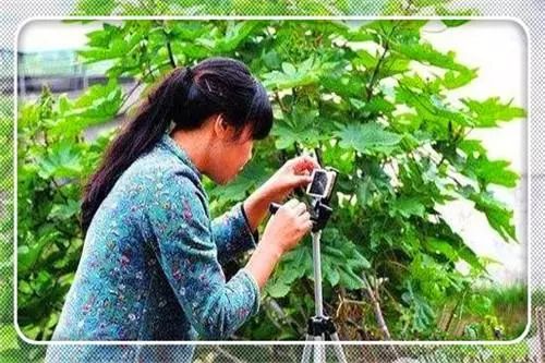 农村创业致富门路有哪些,自主创业致富的门路