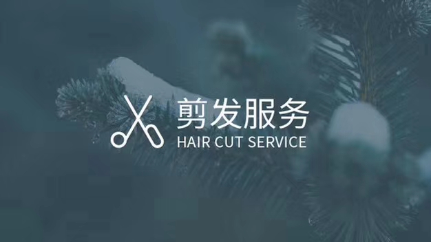 用照片设计与脸型搭配的发型,发型与脸型搭配的设计