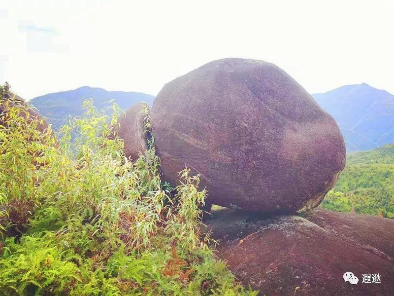 温州居然有这么美的小众景点,温州青龙山风景区在哪里