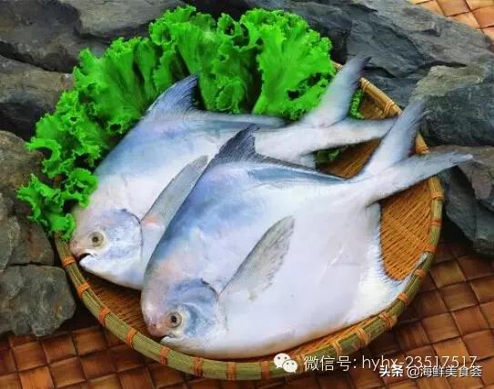 常见的海鲜哪些好吃,比较有营养价值的海鲜