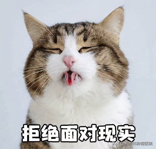 75岁老人因为失眠半年暴瘦20斤,茶饭不思病倒在床