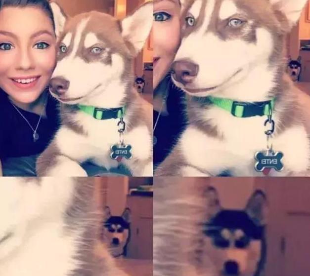 趣图搞笑梗图,网上搞笑趣图