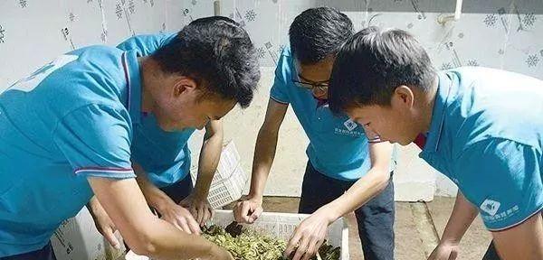 90后小伙养殖青蛙,农村创业致富养蛙