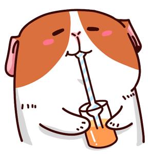 杰*公伦**举爱喝的奶茶，我也戒不掉怎么办？营养师给你支两招