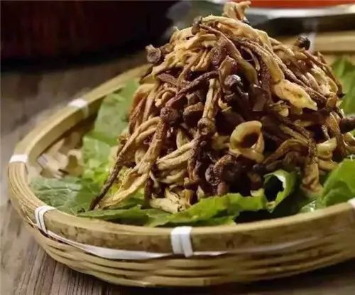 这种菌一带到广州一下子！鹿茸菌#2019生机大会#