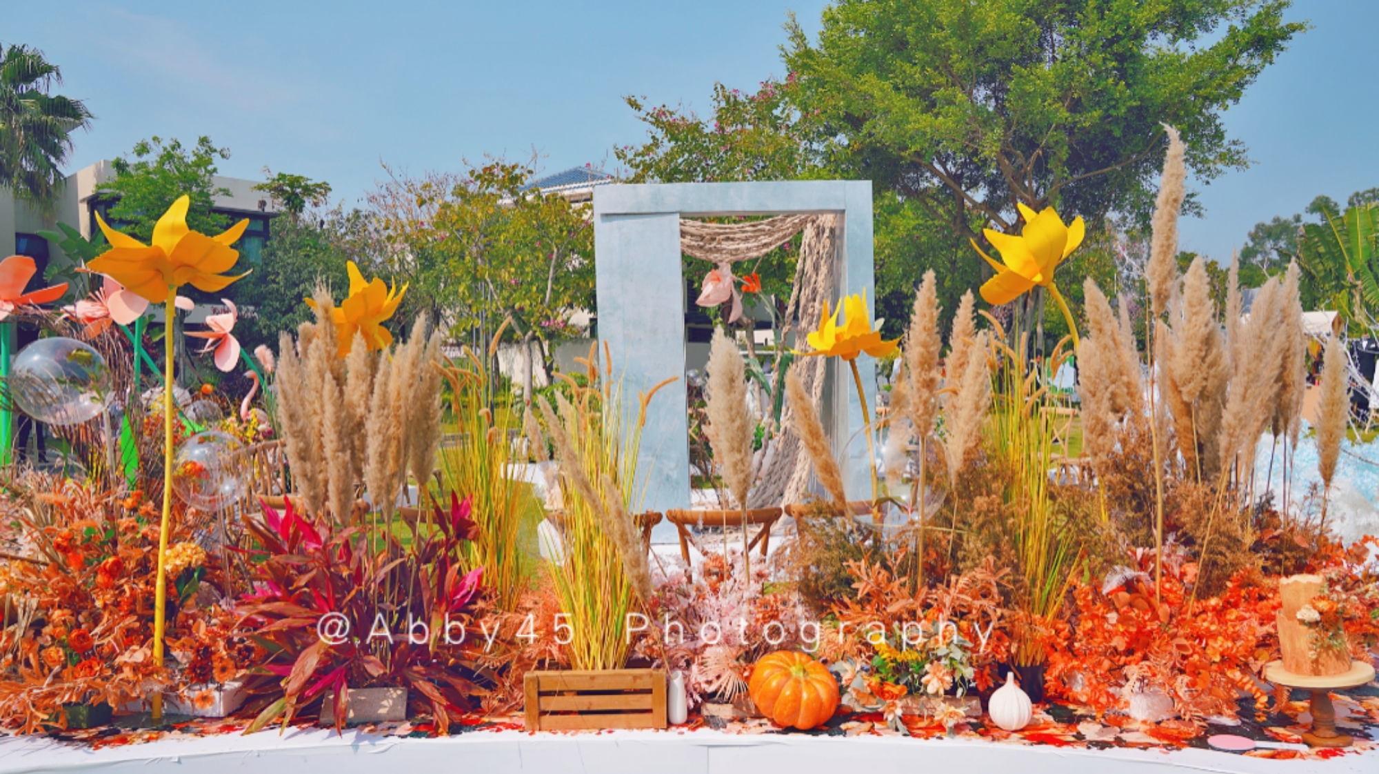 厦门五星级在山上的酒店,厦门最美星空露营地