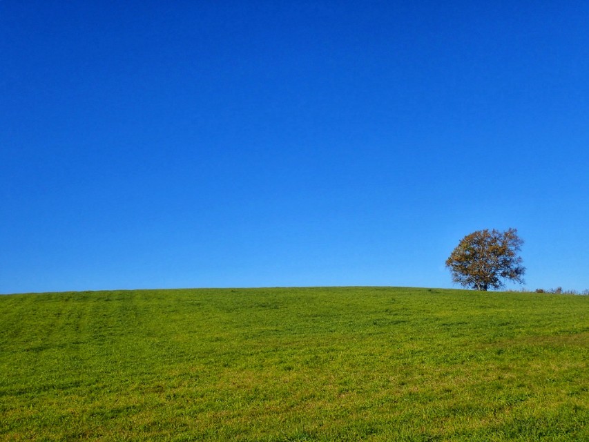 北海道登别到美瑛町需多久,日本北海道美瑛川的雪景