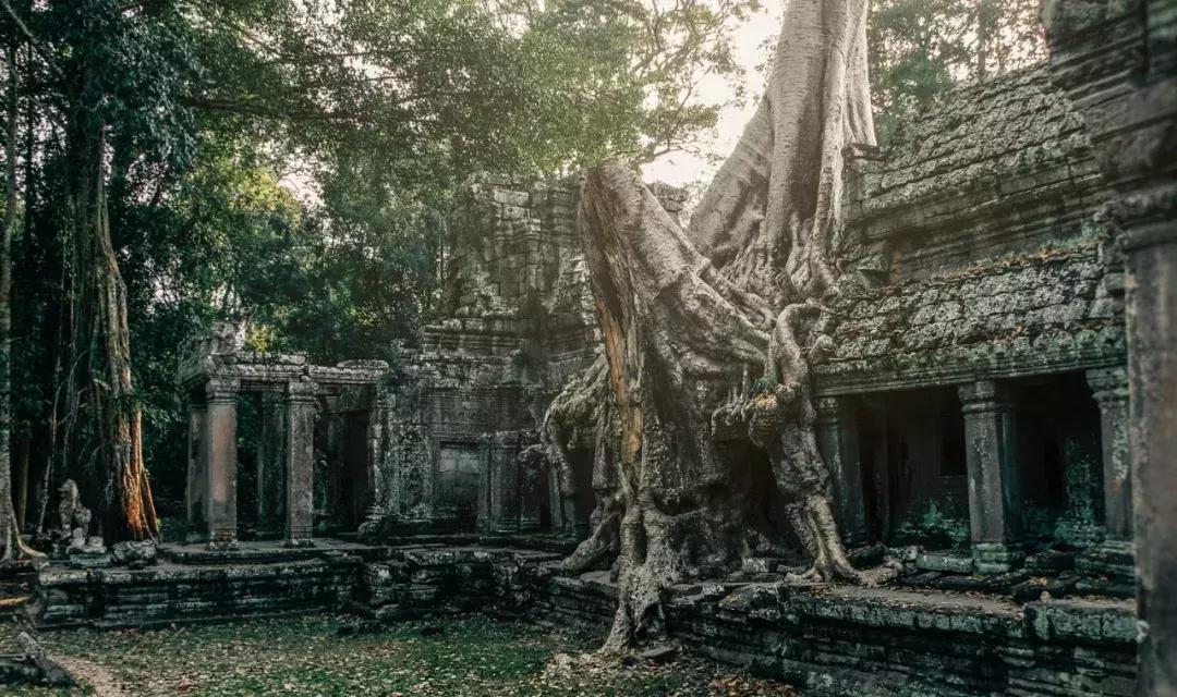 厉害了我的家乡杭州,杭州直飞韩国旅游