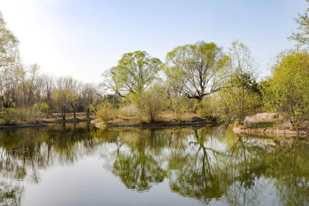 北京人少景美赏秋的公园,北京赏秋中山公园