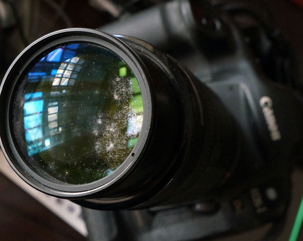 镜头霉变怎么办,相机镜头里面发霉了怎么处理