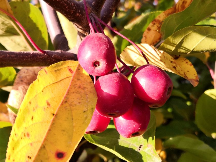 众创网校简介,众创网校官网