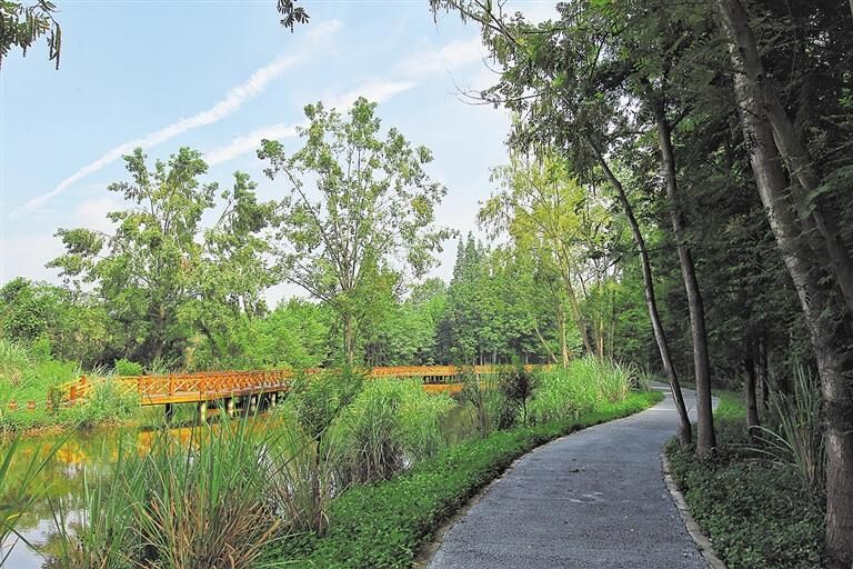 成都绿道被隔开,成都被3条路包围的楼盘