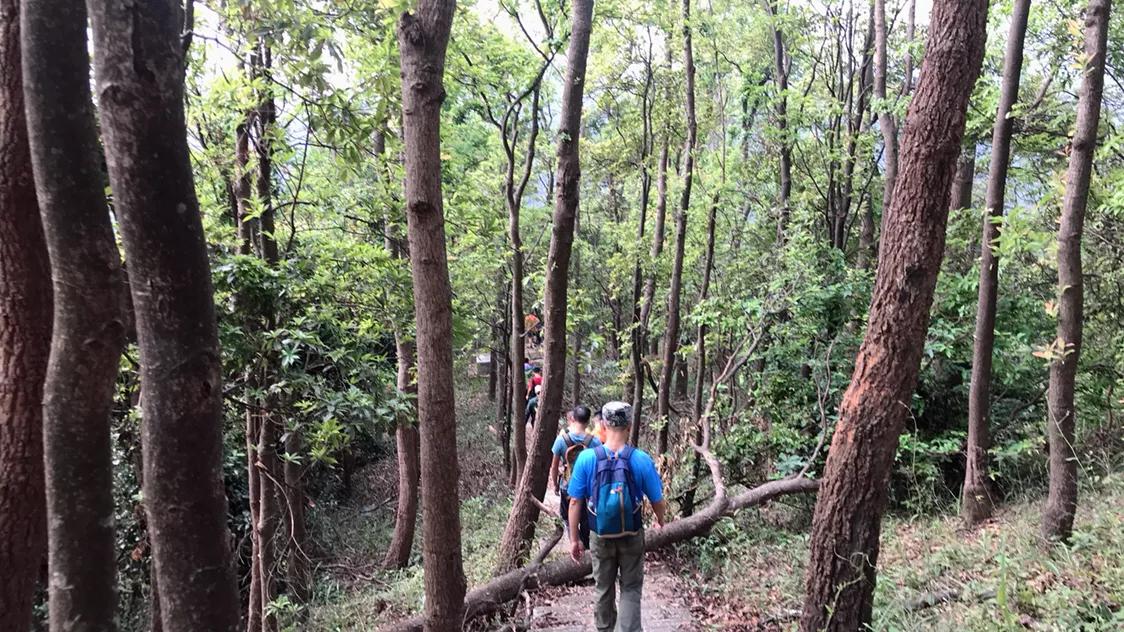 如果你觉得生活太过于平淡,如果你觉得生活太平淡就去改车吧