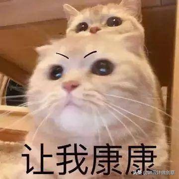 外国闲鱼卖家沙雕,闲鱼上卖的最沙雕的商品