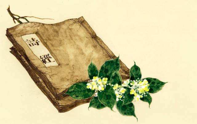 诗经中好听的女孩名字和寓意,在诗经中取个好听的名字