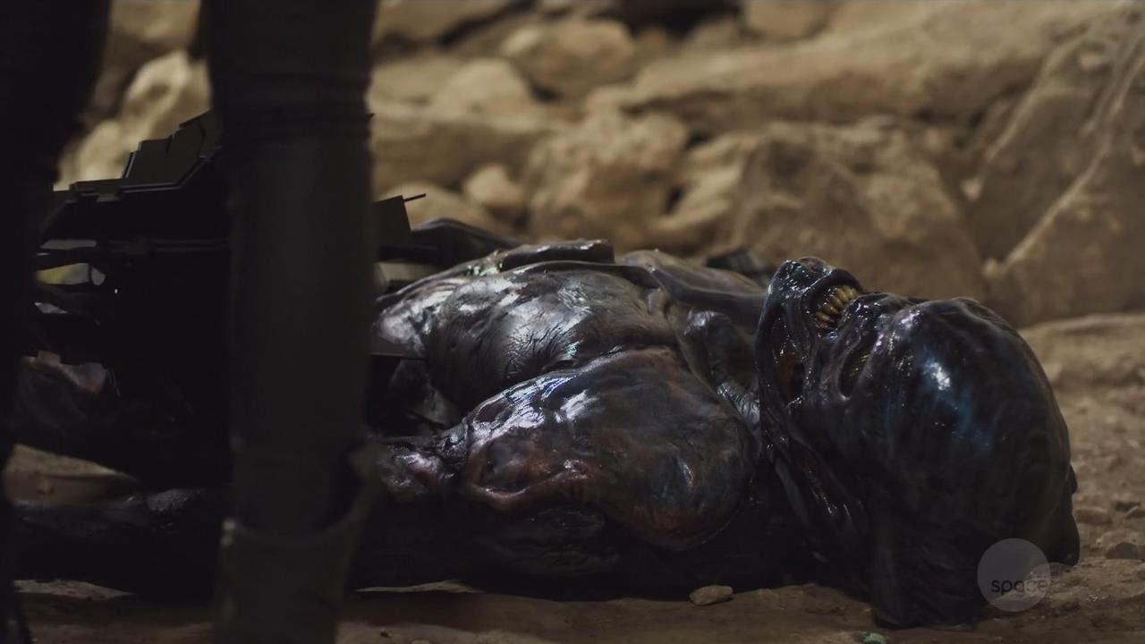 潘多拉星际迷航 (星际迷航潘多拉)