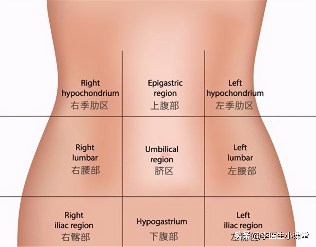 胃肠粘膜受损治好了,胃肠道黏膜受损症状
