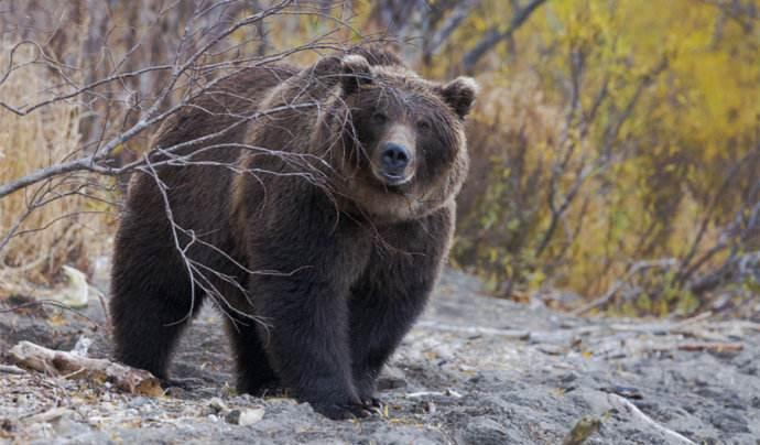 致敬项海王，股生PPT