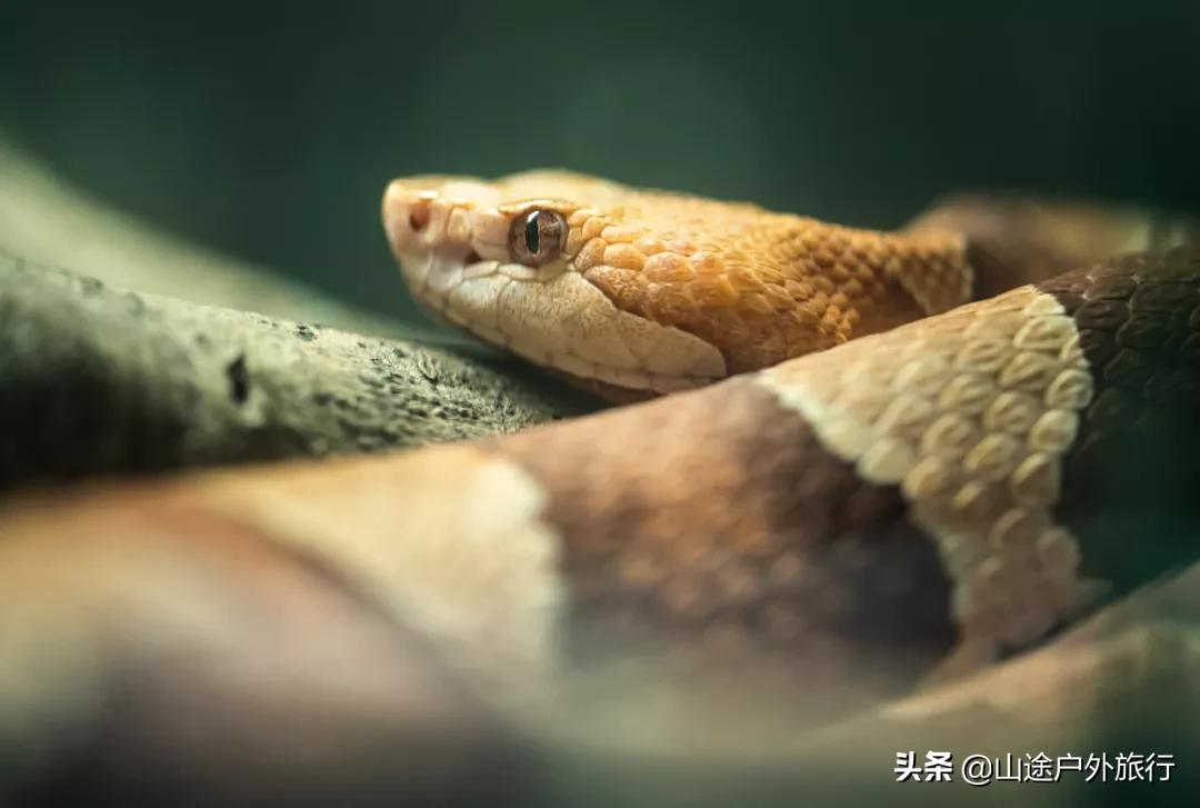 户外爬山三大忌讳,户外有风险爬山需谨慎量力而行