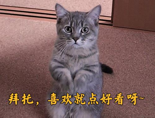 告诉你草莓为什么不能吃,草莓能不能随便吃