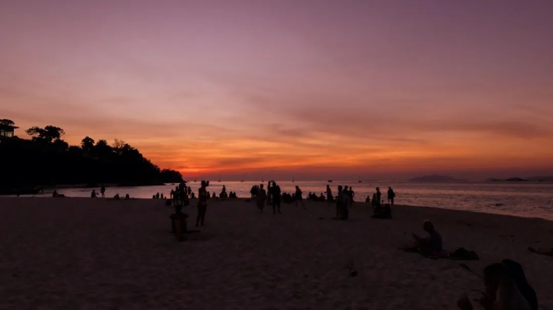 恋恋丽贝岛，人狗情未了|KohLipe