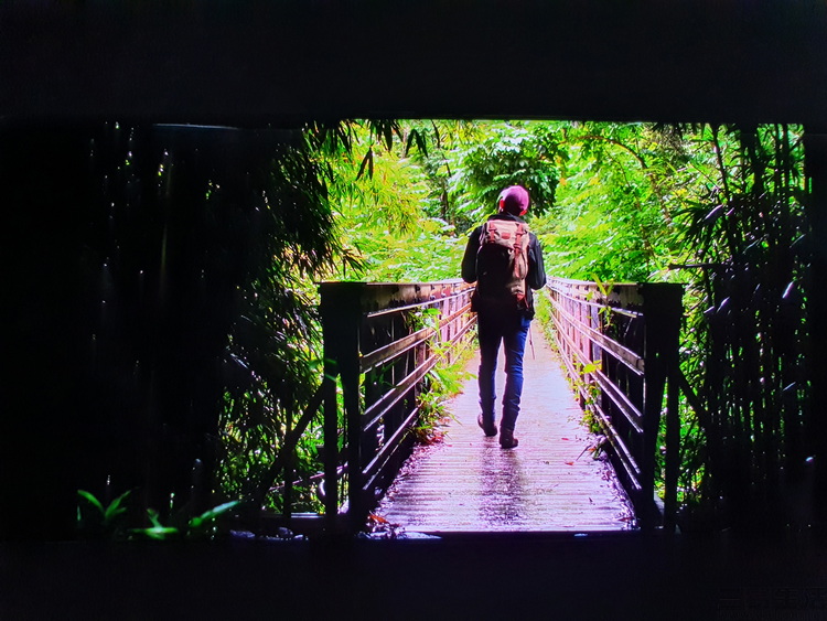 智能手机的出现有多么不可思议,智能手机已经全面普及