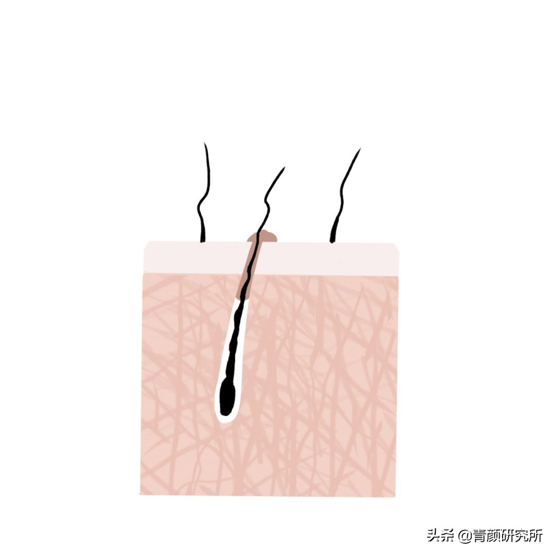 教你如何选择好用的洗发水,哪种洗发水最好用又能滋润