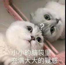 英国禁止入境的药品,你还知道哪些禁止携带物品