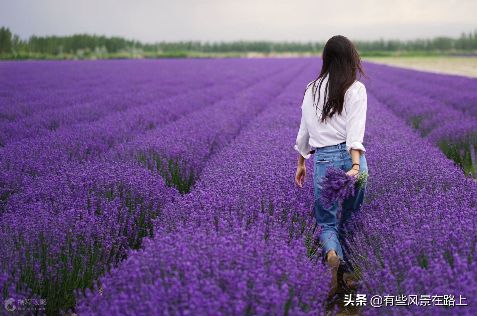 伊犁哈萨克自治州地图,伊犁哈萨克自治州属于哪个省