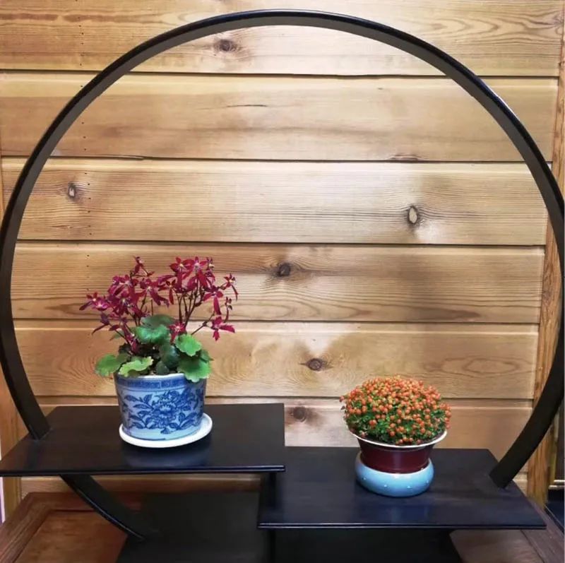 适合初学者制作的盆景造型,2016年最新盆景制作以及盆景欣赏