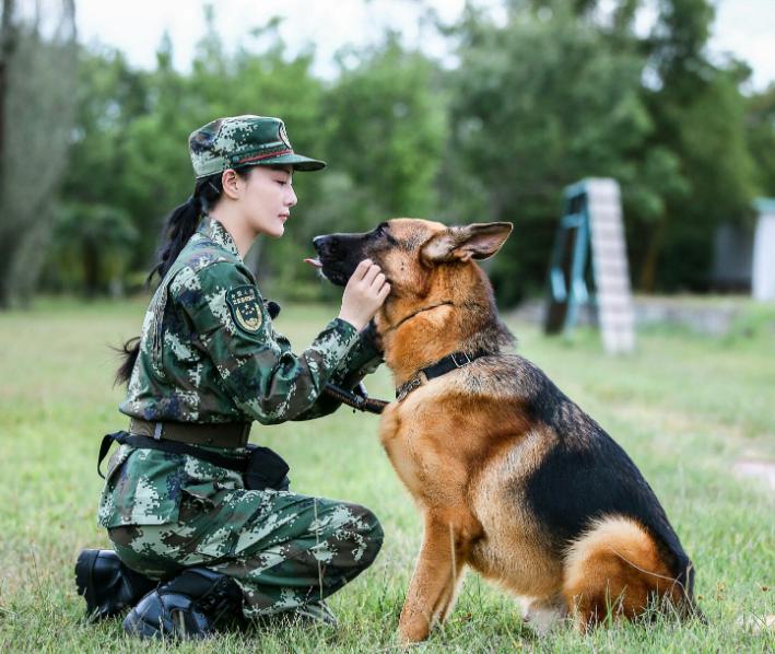 张馨予个人资料何捷,张馨予何捷婚姻现状最新消息